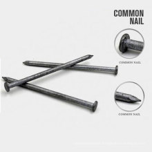 All Size Common Round Iron Nail with Good Quality